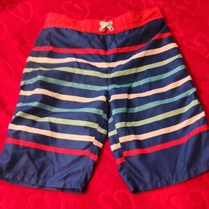 Striped Swim Shorts